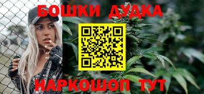 прущие грибы Будённовск
