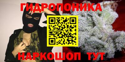 прущие грибы Будённовск