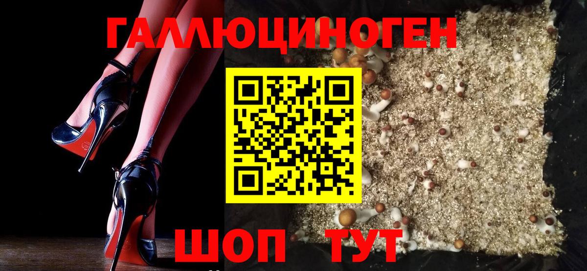Галлюциногенные грибы Psilocybine cubensis Копейск